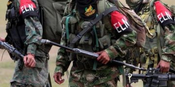 Por seis meses más Gobierno extiende el cese al fuego con el ELN