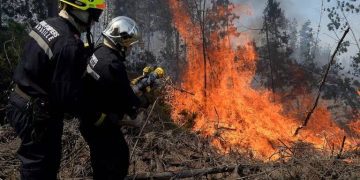 Incendios forestales: a 12 aumentaron los municipios en Atlántico con alerta roja