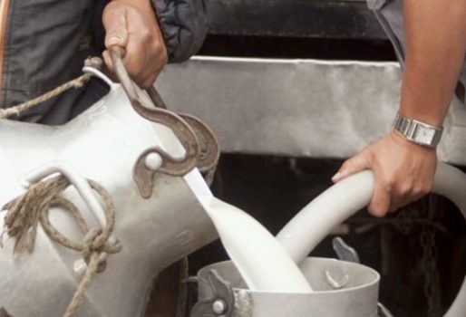 Alerta en el Atlántico por escasez de leche: Baja producción preocupa al gremio ganadero