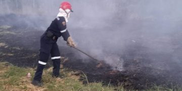 Bomberos de Colombia convocan a ‘sirenazo’ por falta de recursos económicos