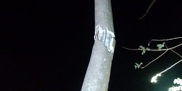 Choque de vehículo contra poste afectó servicio de energía en Repelón y Luruaco