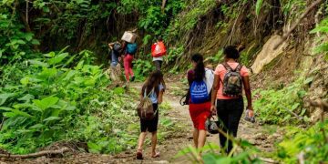 Colombia tuvo más de 60 mil desplazados por la violencia durante el 2023