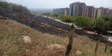 En Miramar el Cuerpo de Bomberos de Barranquilla controlan incendio forestal