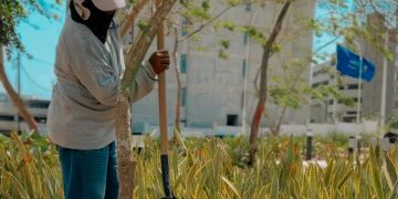 Más de 210 árboles, 8.200 m² de paisajismo y 50 m² de huertas comunitarias se han sumado a los parques de Barranquilla