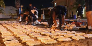 Mayor cargamento de marihuana de los últimos 4 años cae en San Andrés: 1,2 toneladas