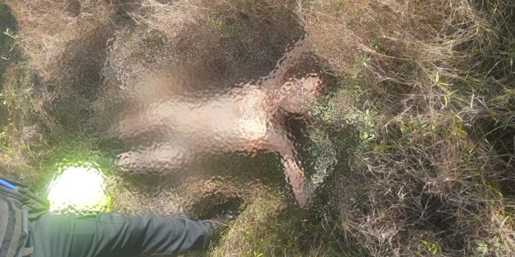 Hallan cadáver de mujer baleada en Mesolandia, Malambo