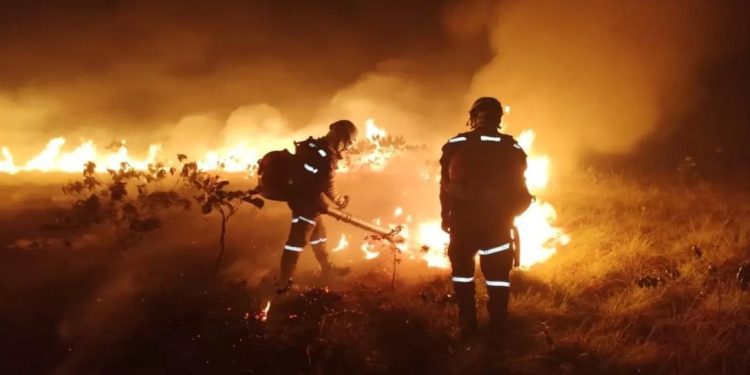 Ejército Nacional despliega capacidades para intervenir incendio de gran magnitud en Vichada