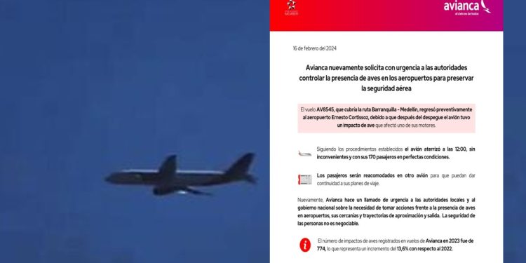 “Controlar presencia de aves sobre el Aeropuerto Cortissoz”: Avianca a las autoridades por incidente con aeronave
