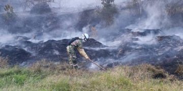 Fedegán denunció inacción del gobierno ante crisis por heladas y sequías en Colombia