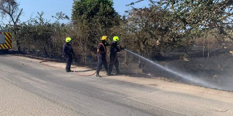En Baranoa, controlado incendio forestal. La conflagración fue atendida rápidamente por el cuerpo de bomberos
