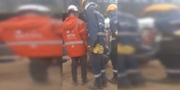 Denuncian extraña práctica con gallinas cada vez que se termina una etapa del Metro de Bogotá
