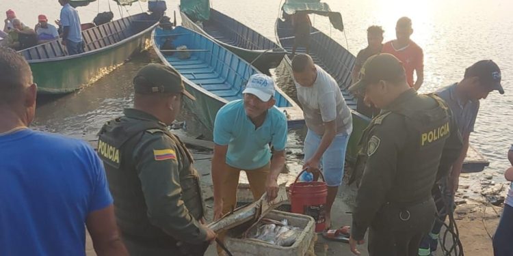 Controles sobre la venta de pescado en diferentes municipios del Atlántico