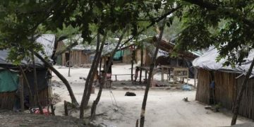 Tragedia en Codazzi: Cinco niños indígenas mueren tras presunta intoxicación con una fruta