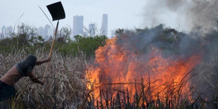 Incendio en Isla Salamanca se ha controlado hasta en un 40%