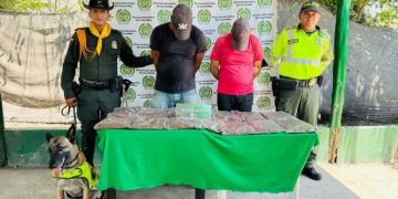 Transportaban 10.7 kilos de marihuana en vehículo de servicio público y fueron capturados en la Cordialidad