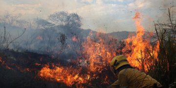 20 municipios del Atlántico en alerta roja por grave amenaza de incendios forestales: IDEAM