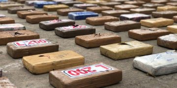 Condenan en España a narcos que introdujeron cocaína procedente de Colombia