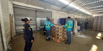 Incautado cargamento de cocaína oculto en un contenedor de bananos