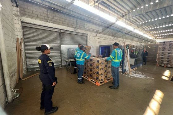 Incautado cargamento de cocaína oculto en un contenedor de bananos