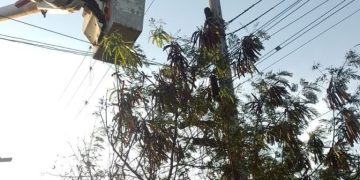 Este sábado estos sectores estarán sin servicio de energía en Barranquilla y Soledad
