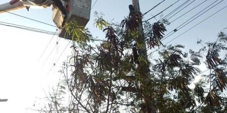Este sábado estos sectores estarán sin servicio de energía en Barranquilla y Soledad