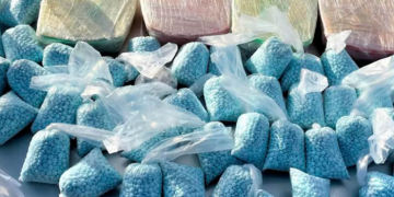 El G7 se compromete a combatir las drogas sintéticas como el fentanilo