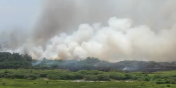 Incendio en Isla Salamanca inunda de humo a Barranquilla