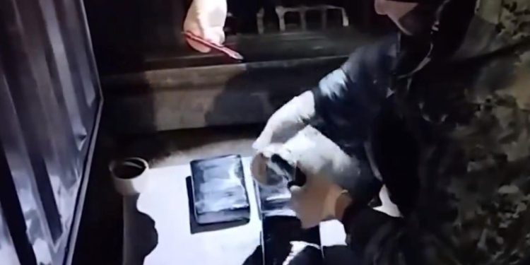 En Rusia hallan 76 kilos de cocaína en cargamento de plátanos procedente de Colombia
