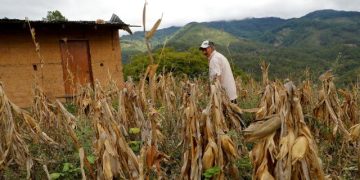 Colombia ingresa en la lista de países con inseguridad alimentaria aguda, según la ONU
