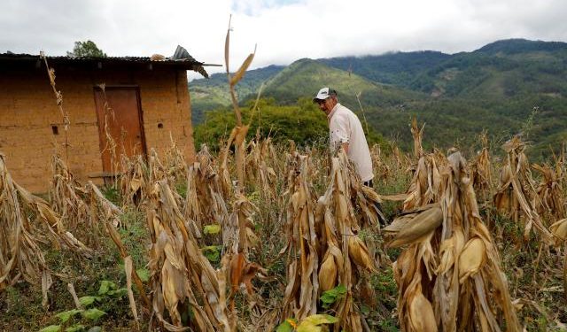 Colombia ingresa en la lista de países con inseguridad alimentaria aguda, según la ONU