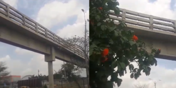 Quejas por mal estado de puente peatonal en la Circunvalar, a la altura de Siete de Abril
