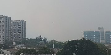 Persiste la problemática del humo en Barranquilla en los últimos 2 días por quemas de mangle en la Isla Salamanca