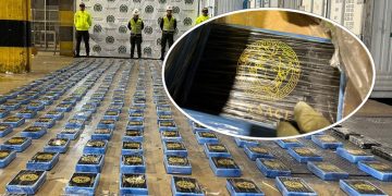 Ocultos en carga de bananos, hallan 390 kilos de cocaína en el Puerto de Santa Marta