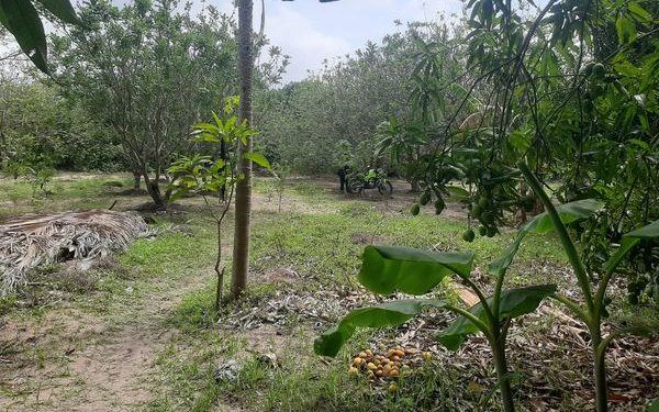 Hombre fue encontrado ahorcado en la verede El Carmen, Malambo
