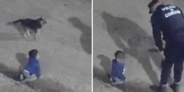 Policía rescata a un bebé que estaba gateando en plena calle a las cuatro de la madrugada