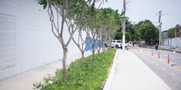 Alcaldía de Barranquilla transforma puntos críticos en nuevos espacios verdes