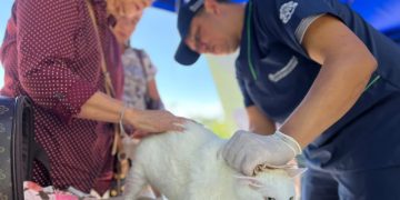 Comparte amor con las mascotas: nueva jornada distrital de bienestar y adopción animal