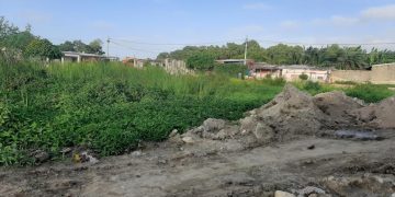 Asesinan a alias ‘Carola’ en La Cangrejera