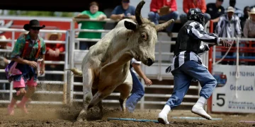 Toro se escapó y atacó a espectadores en rodeo