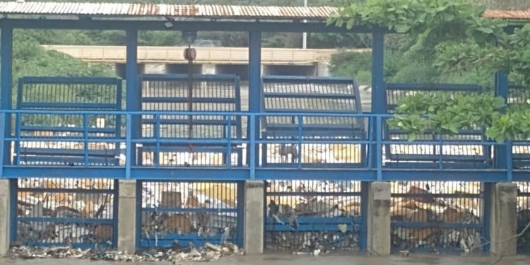 Atención urgente a trampa de Arroyo León clama la comunidad 