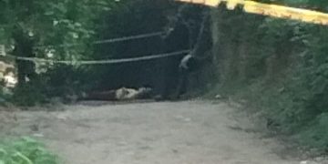 Hallan cadáver de un hombre y una mujer en zona rural del municipio de Baranoa