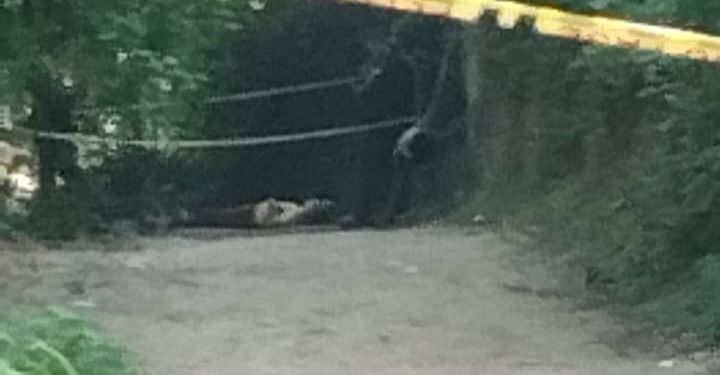 Hallan cadáver de un hombre y una mujer en zona rural del municipio de Baranoa