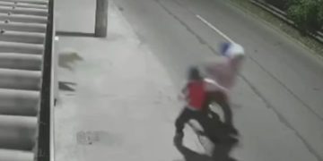 ‘Dante’ el héroe de cuatro patas que salvó la vida de su dueño en un intento de robo en casa de Puente Aranda