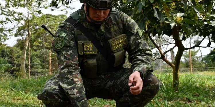Ejército protege a campesinos del Meta y destruye artefactos explosivos en Mesetas