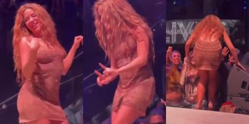 Shakira vivió incómodo momento cuando seguidor trató de grabar bajo su vestido
