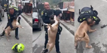 Dio su versión dueña del perro que murió en Manizales en procedimiento policial: “Era él o nosotros”