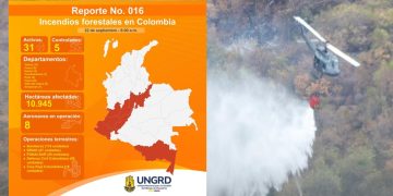 31 incendios forestales activos en el paísreporta la UNGRD: 5 controlados