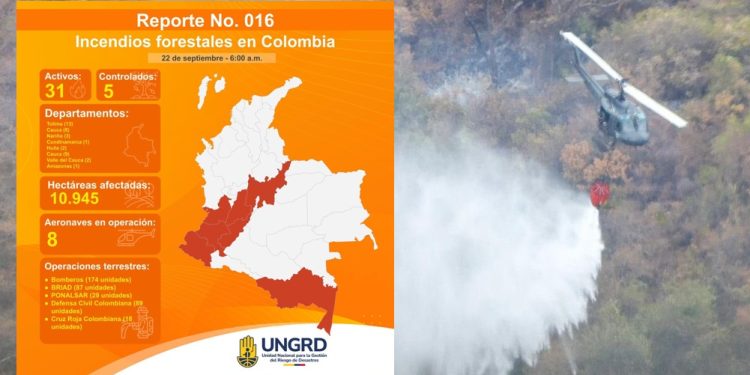 31 incendios forestales activos en el paísreporta la UNGRD: 5 controlados