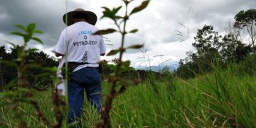 Por segundo año consecutivo, Colombia es el país donde más asesinan ambientalistas