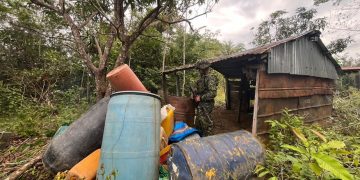Redes del narcotráfico fueron debilitadas tras neutralización de dos laboratorios en Vichada